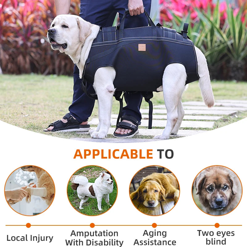 Multi Functional Dog Carrier