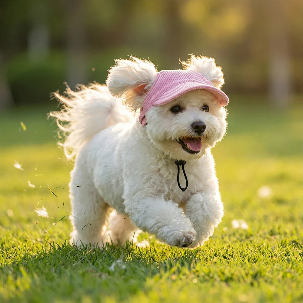 Corduroy Sun Hat for your pup.