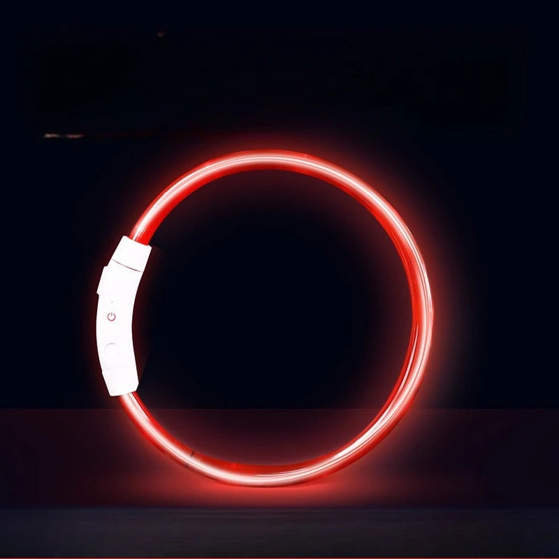 Waterproof, Rechargeable LED Collar with Detachable Light