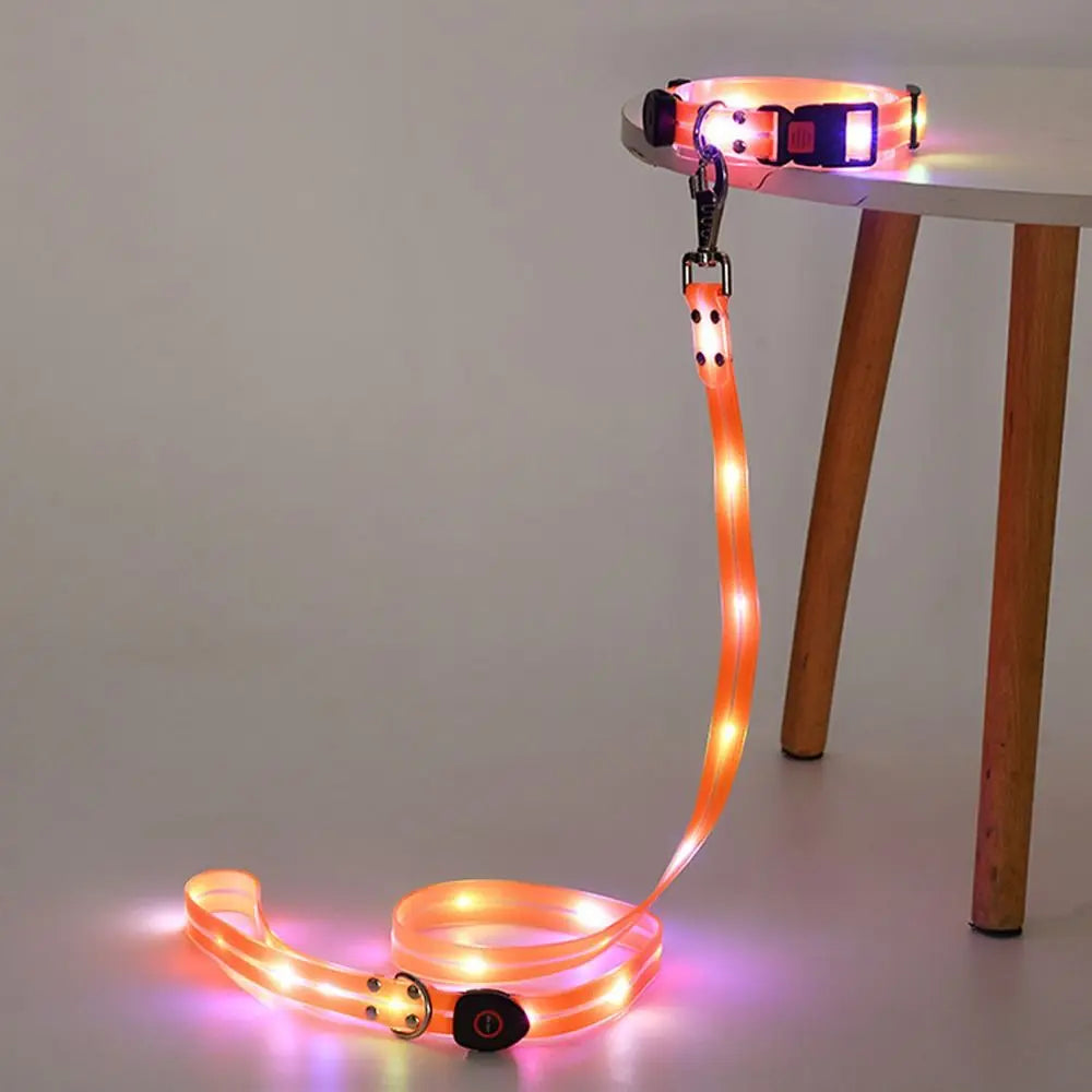 Rechargeable, Adjustable & Waterproof LED Leash for your pup.