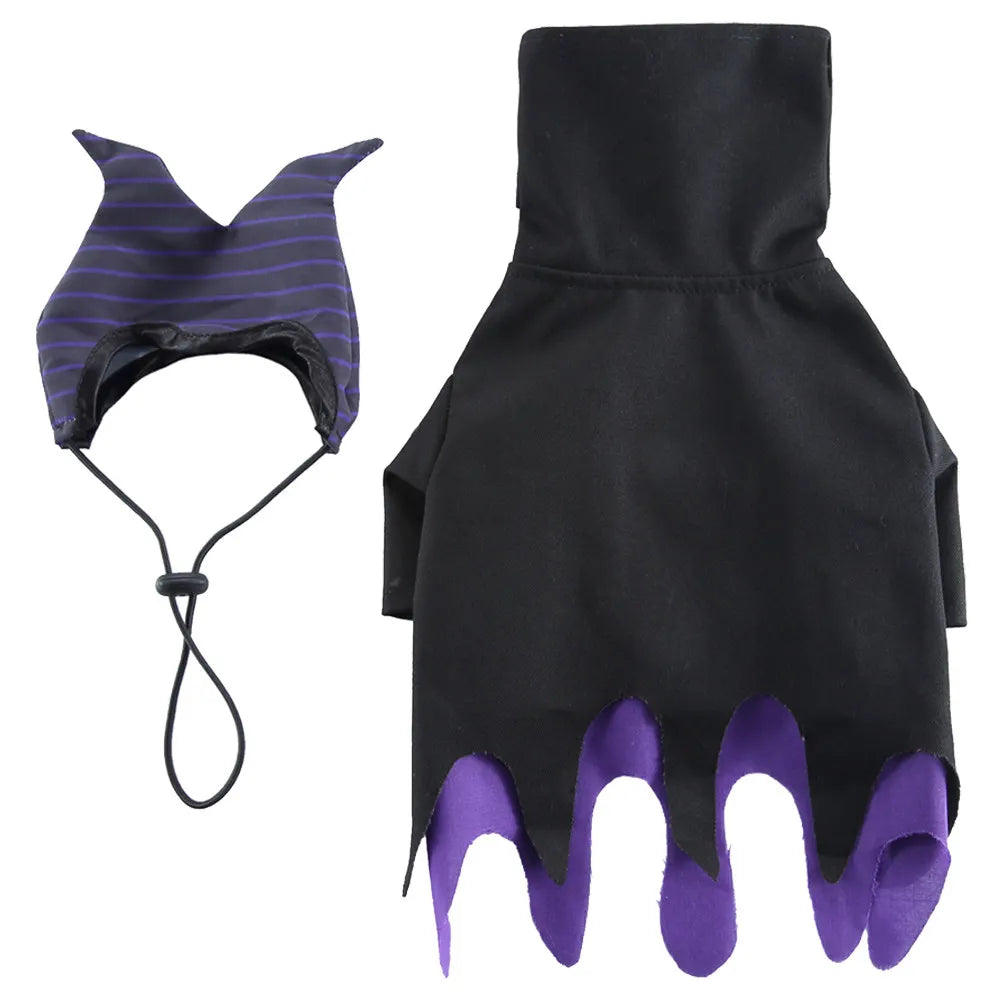 Witch Costume for your pup.
