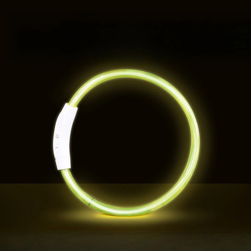 Waterproof, Rechargeable LED Collar with Detachable Light