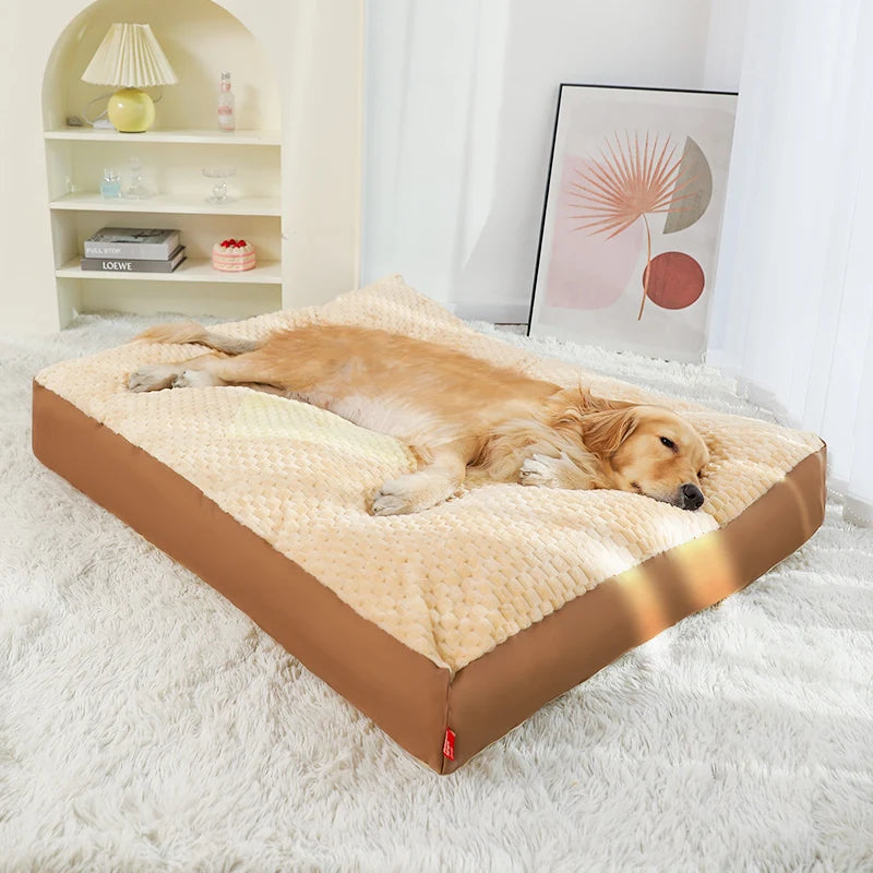 Washable Bed for your pup.