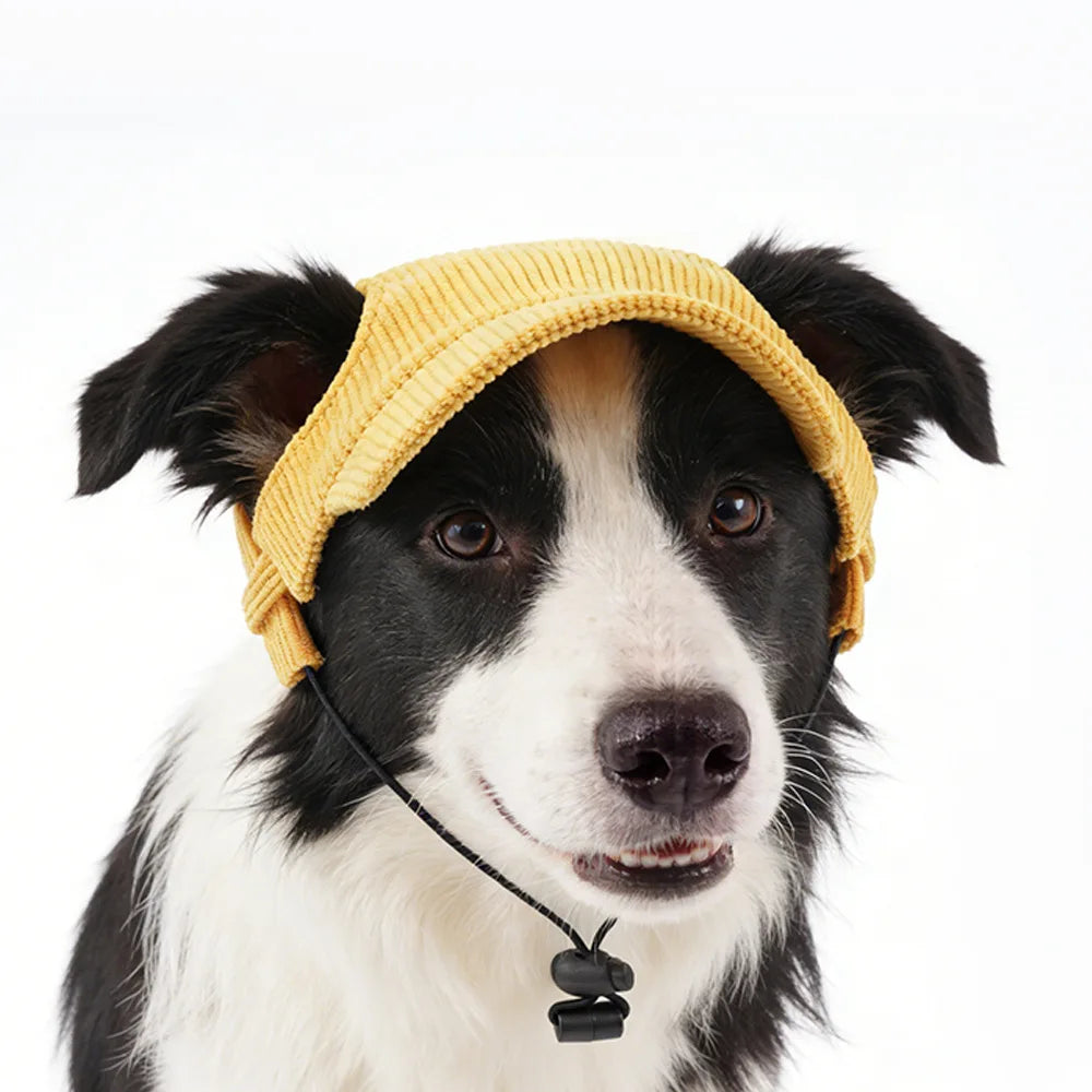 Corduroy Sun Hat for your pup.