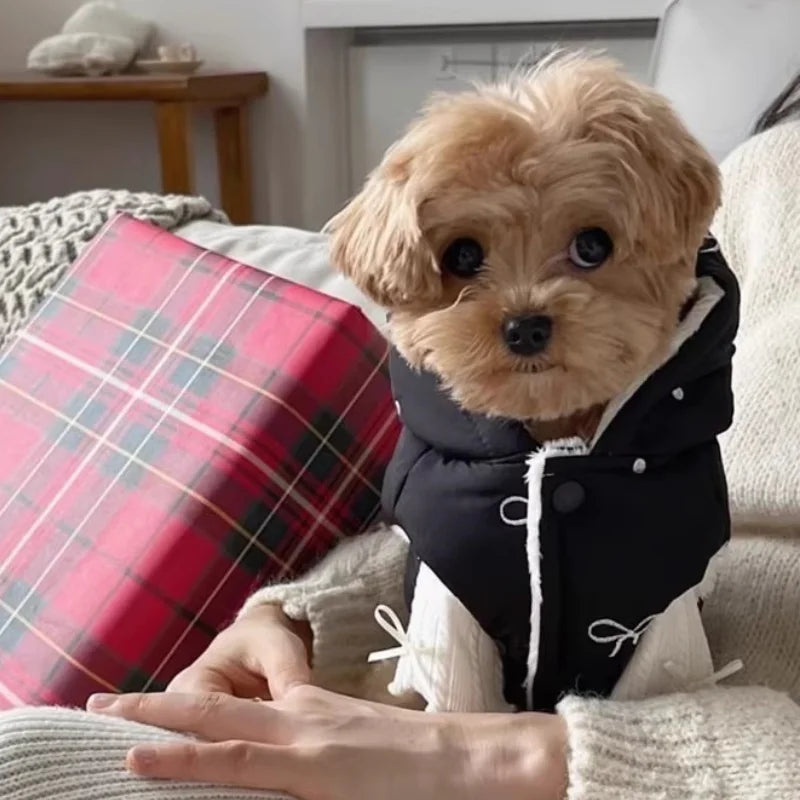 Thick Jacket Embroidered with bows to keep your pup warm.