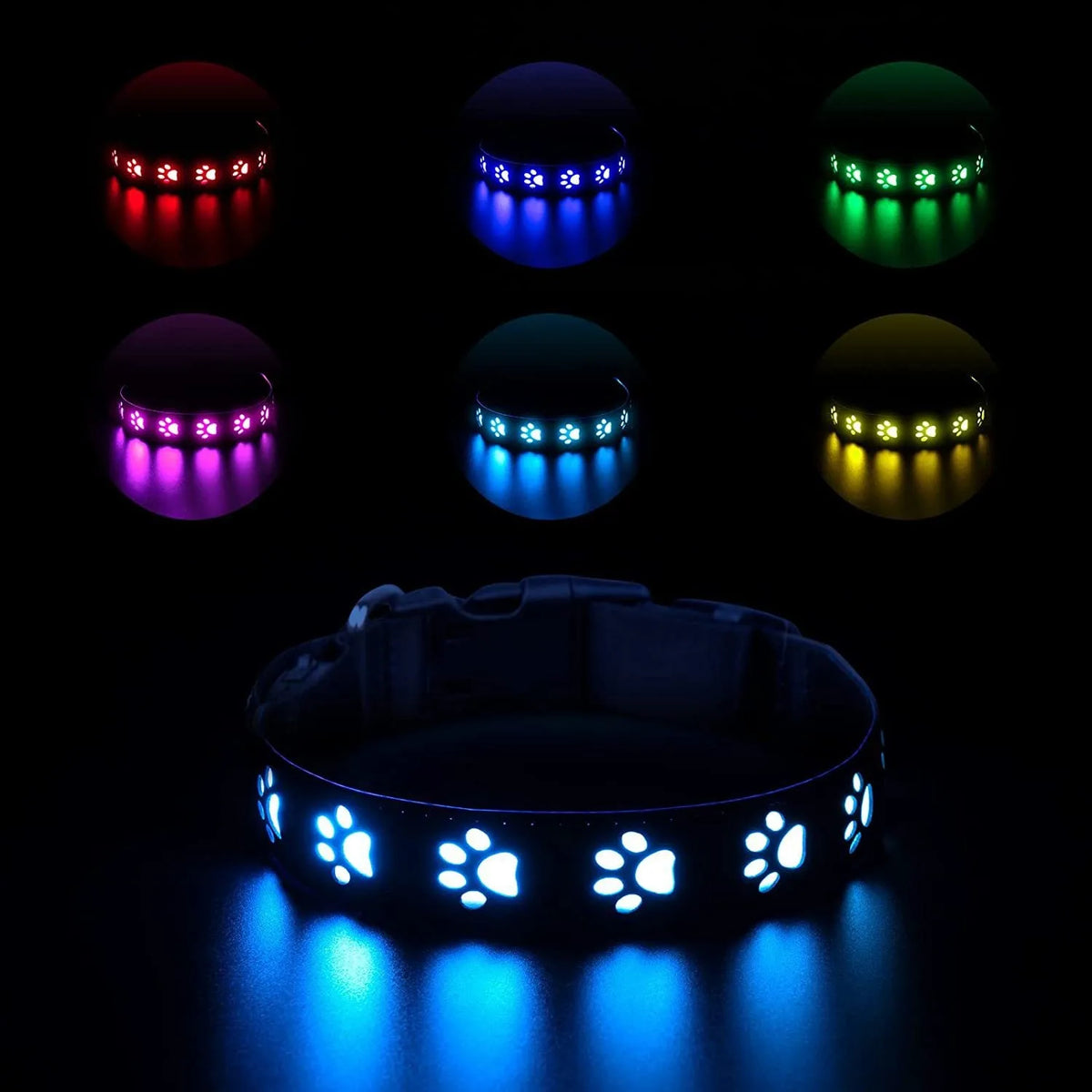 USB Chargeable Collar - 7 colors of light to choose from.