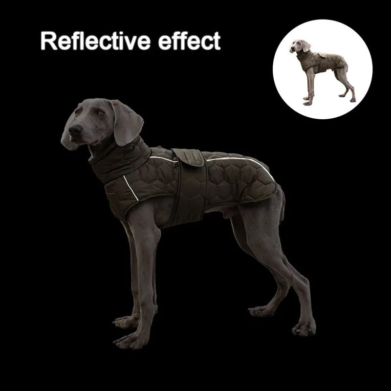 Turtleneck Reflective Jacket for your pup.