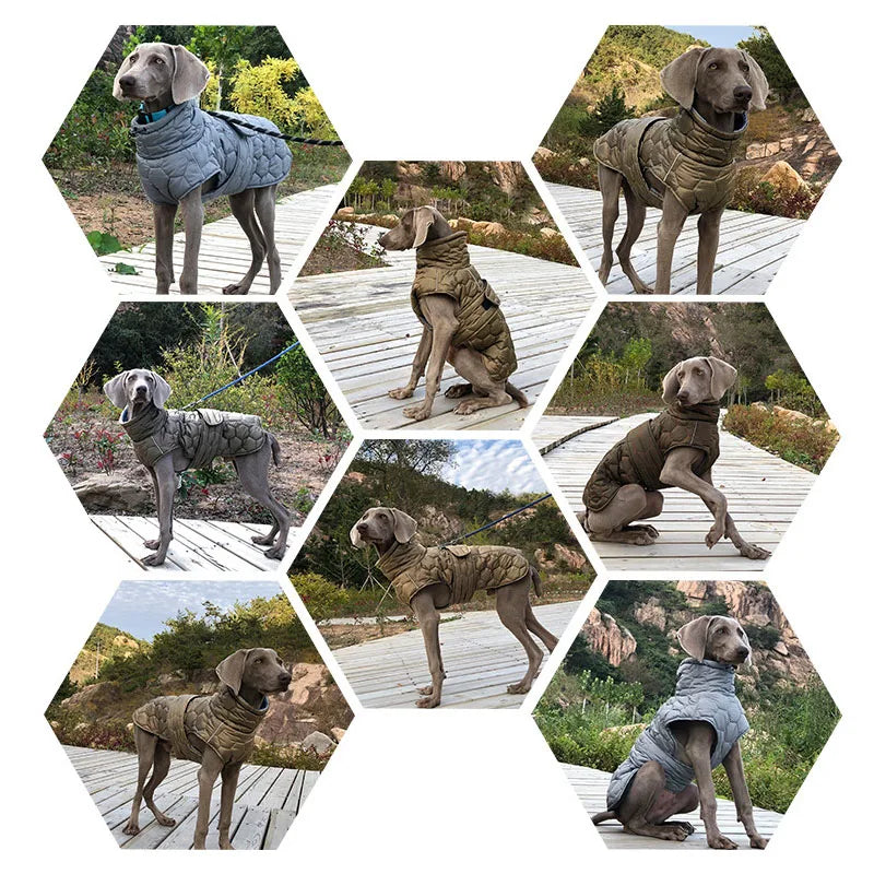 Turtleneck Reflective Jacket for your pup.