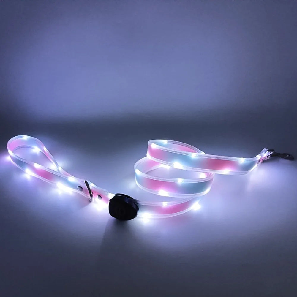 Rechargeable, Adjustable & Waterproof LED Leash for your pup.