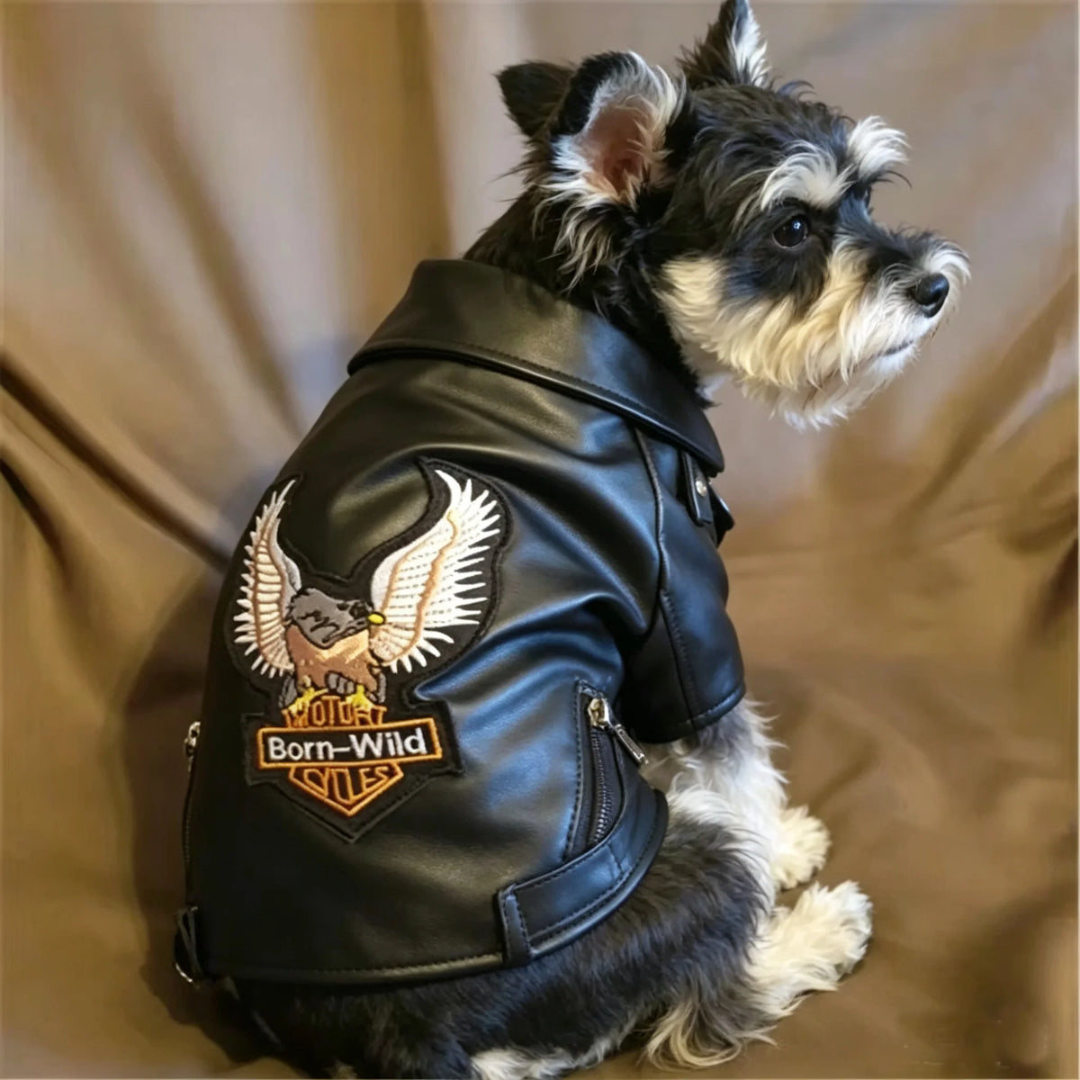 Eagle Pattern Coat PU Leather Jacket Soft & Waterproof for your pup or cat.