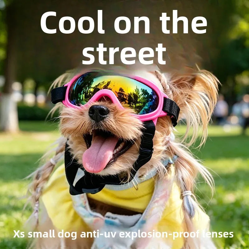 Wind‑Dust Resistant Goggles for your stylish pup.