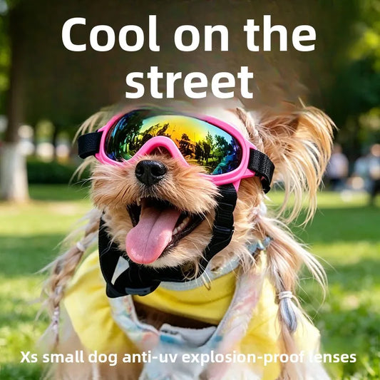 Wind‑Dust Resistant Goggles for your stylish pup.