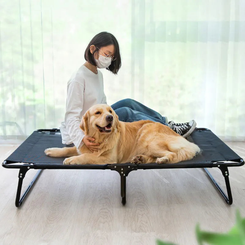 Foldable, Elevated Bed