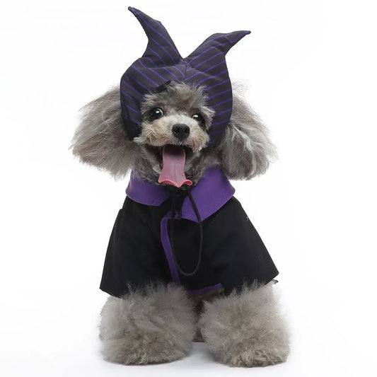 Witch Costume for your pup.