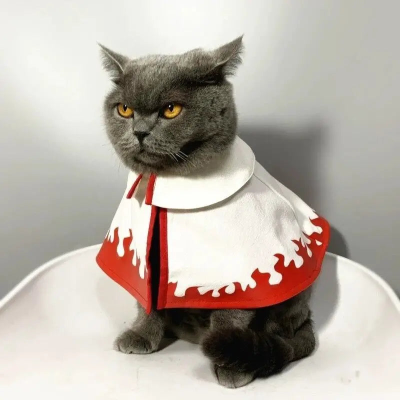 Akatsuki Organization Cloak for your cat.