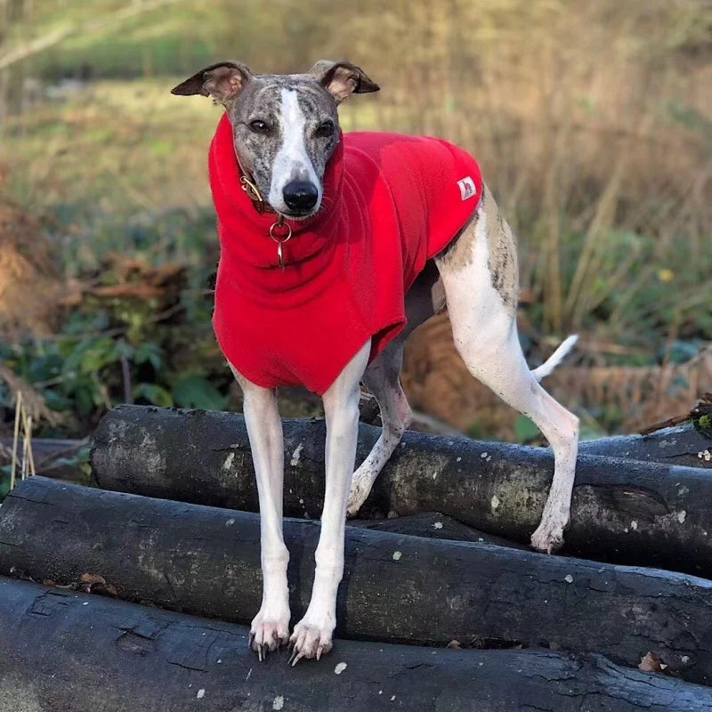 Solid Color Fleece High-neck Winter Vest for Greyhound or Whippet.