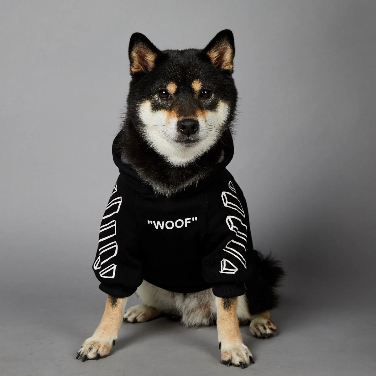 Designer Hoodies for your pup.
