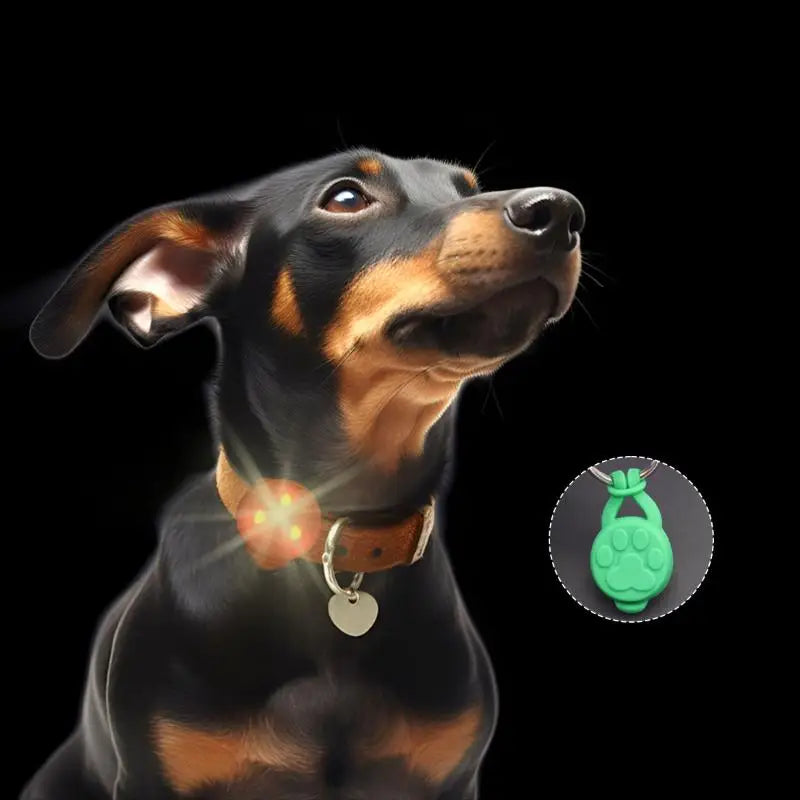 5 Count Silicone LED Glow Pendant for your pup or cat.