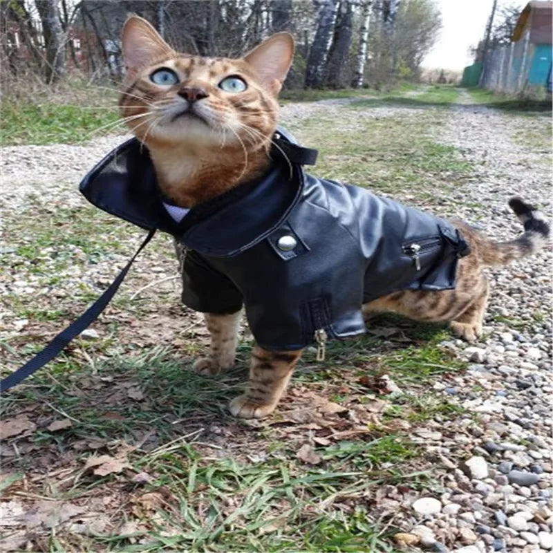 Eagle Pattern Coat PU Leather Jacket Soft & Waterproof for your pup or cat.