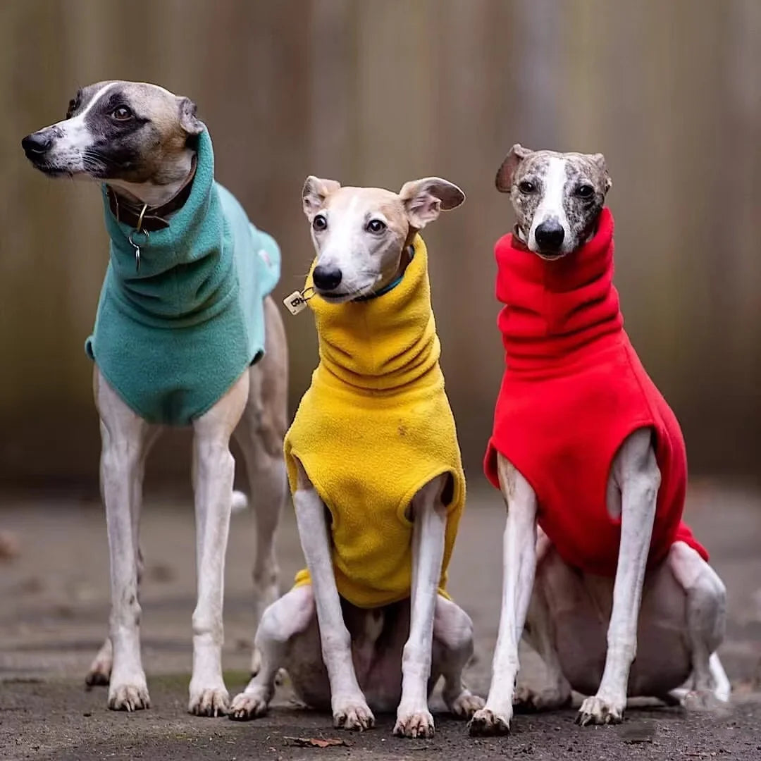 Solid Color Fleece High-neck Winter Vest for Greyhound or Whippet.