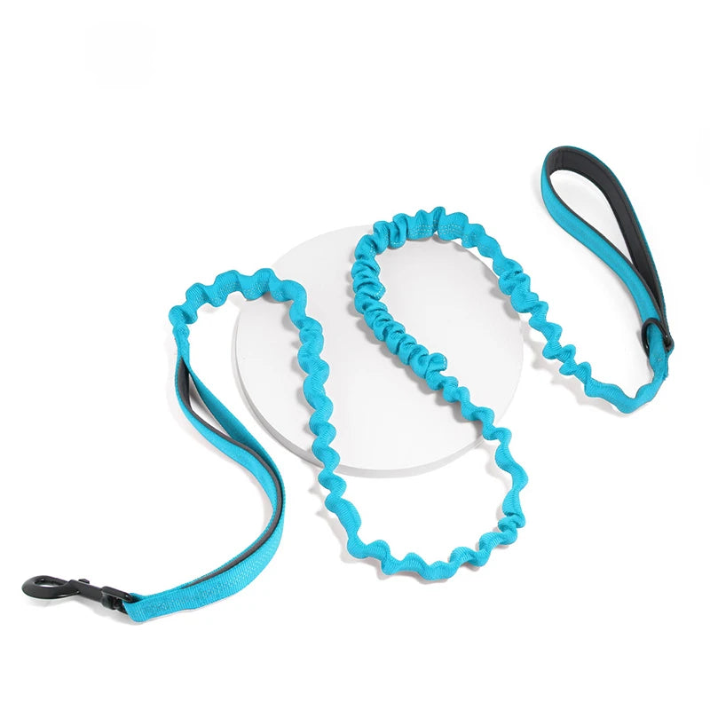 High Elasticity Double Handle Leash