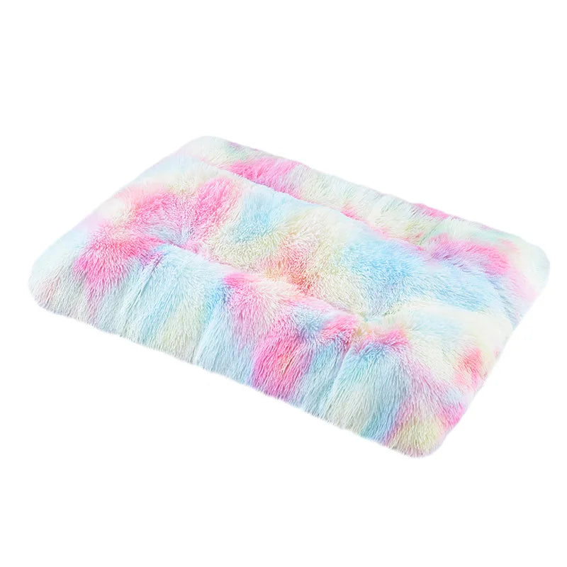 Soft and Cozy Bed