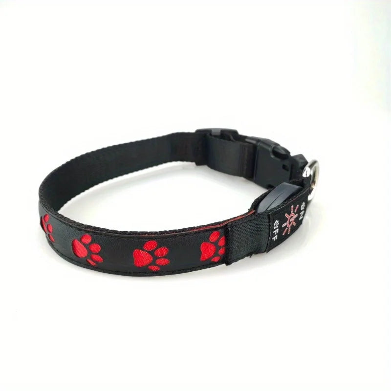 USB Chargeable Collar - 7 colors of light to choose from.
