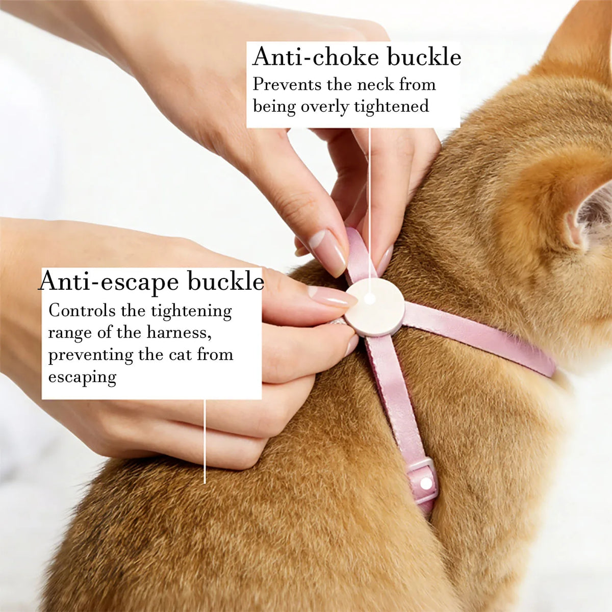 Escape Proof Cat Harness & Leash Set