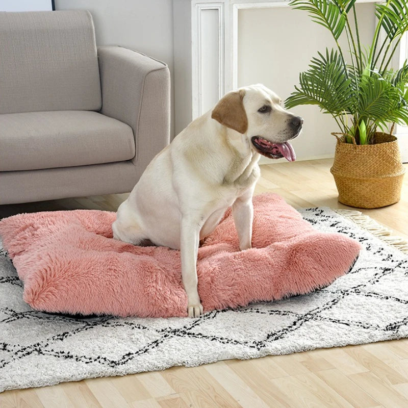 Soft and Cozy Bed