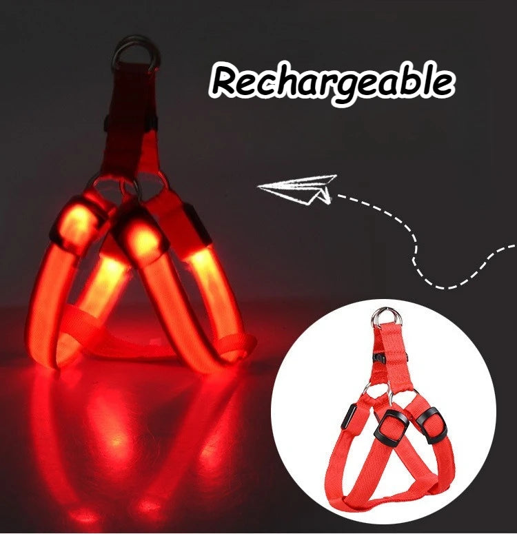 LED Light Up Harness for your pup's night time walks.