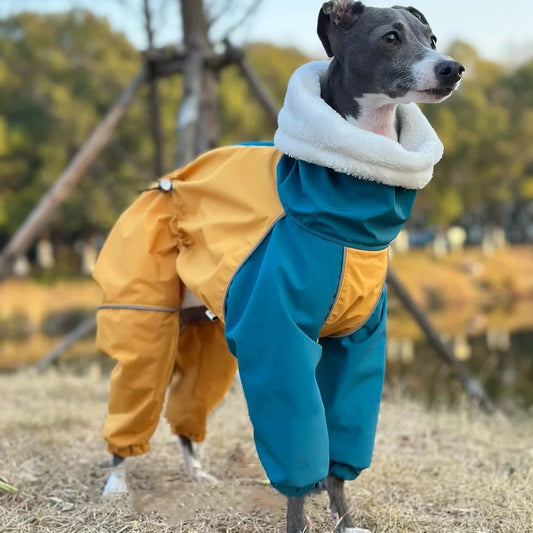 Waterproof Jacket for your greyhound or whippitt.