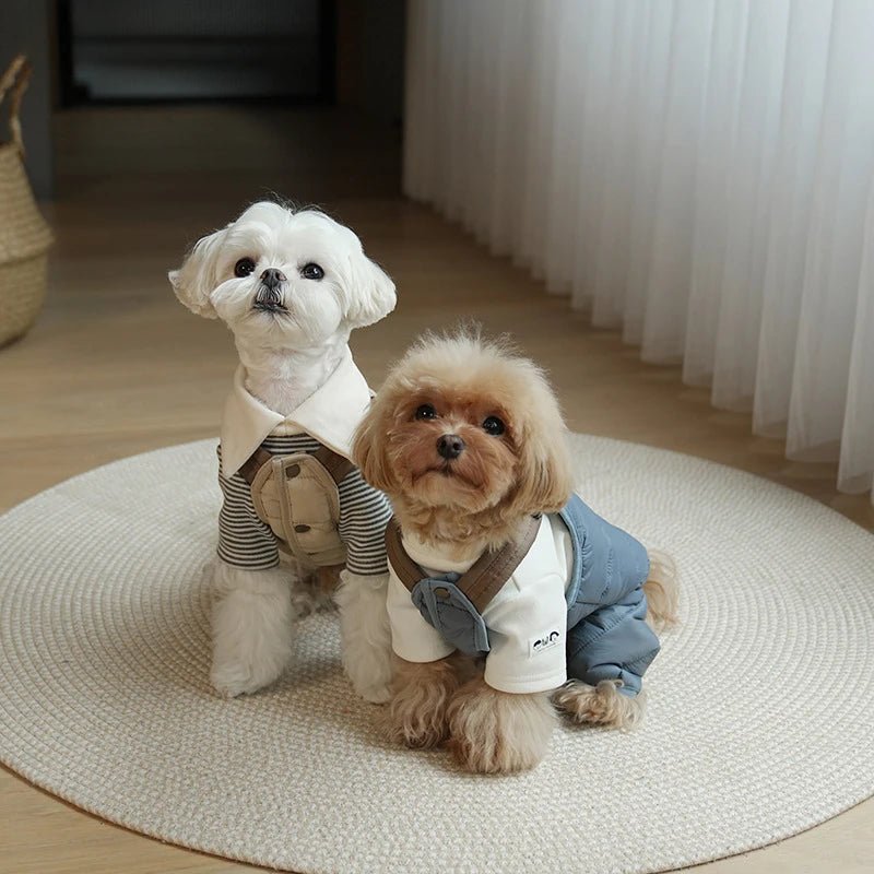 Jumpsuit for your pup.