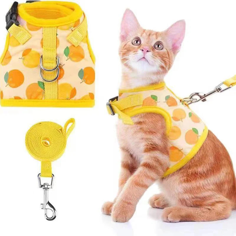 Escape Proof Breathable Cat Harness and Leash Set