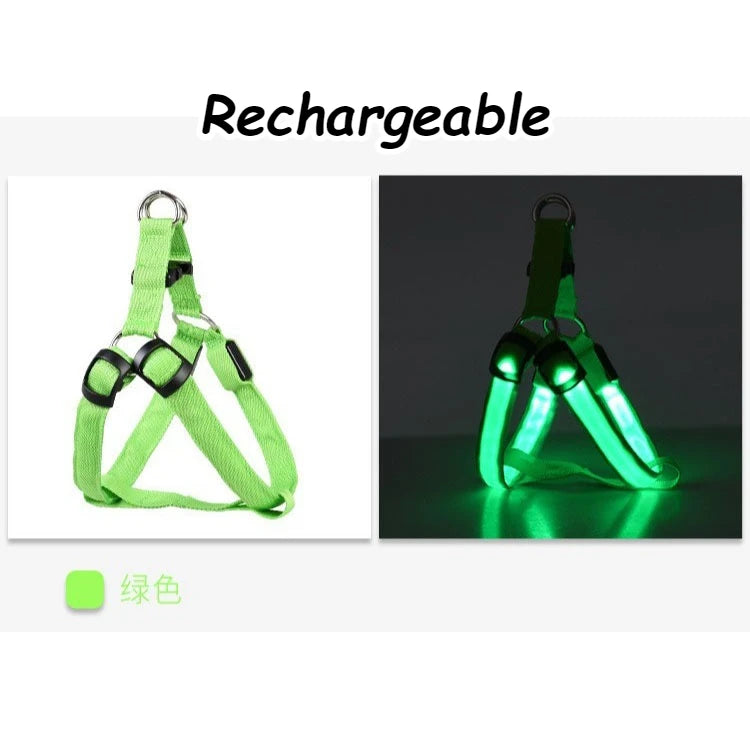 LED Light Up Harness for your pup's night time walks.