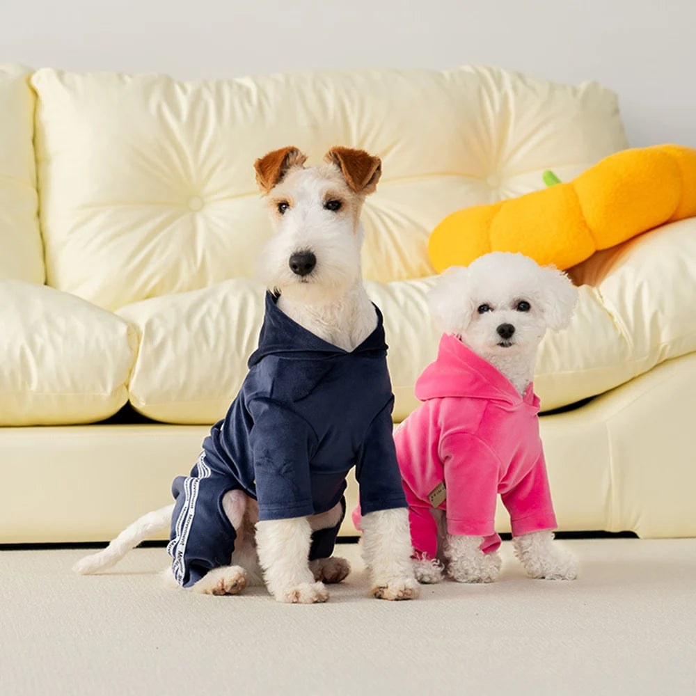 Soft Velvet Jumpsuit for your sporty pup.