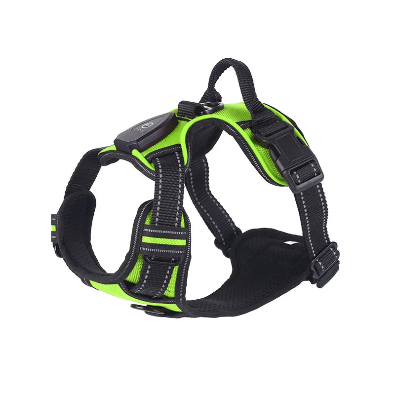 Rechargeable LED Harness with Three Light Modes