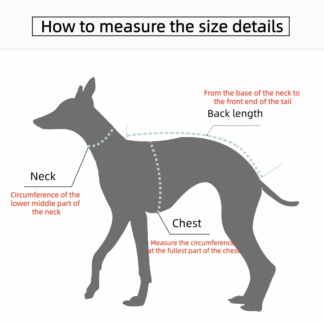 Waterproof Jacket for your greyhound or whippitt.
