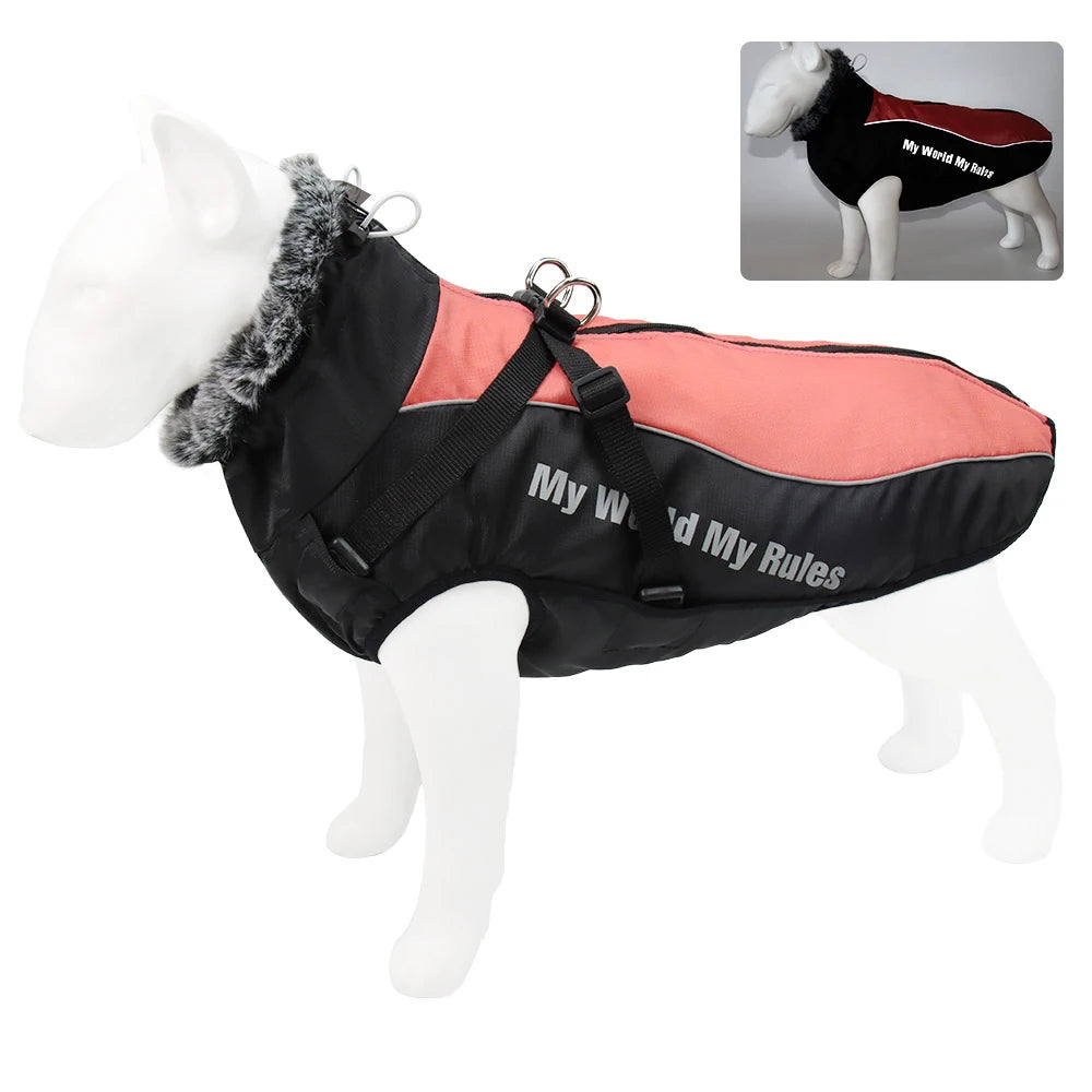 Waterproof Winter Coat With Harness or your pup.