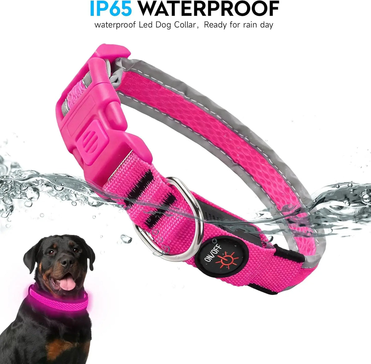 LED USB Rechargeable Light Up Collar for your pup.