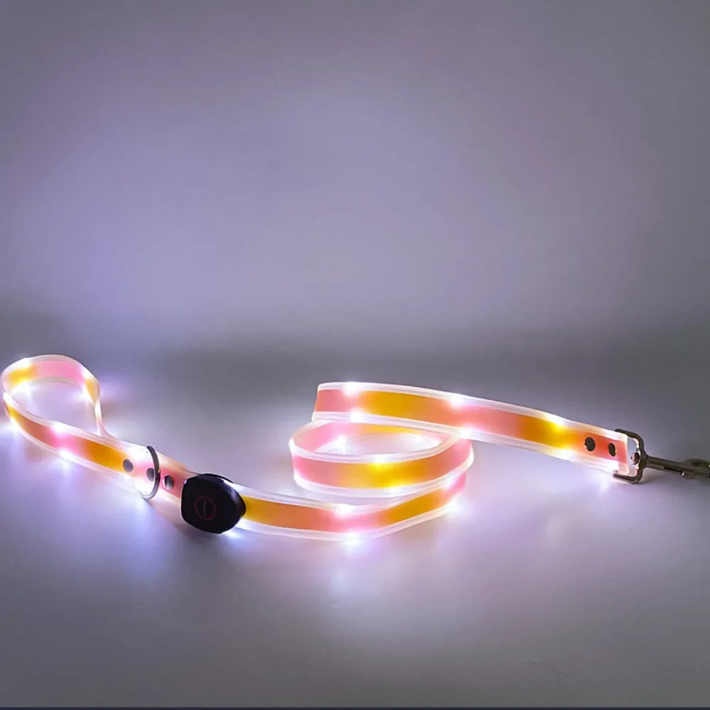 Rechargeable, Adjustable & Waterproof LED Leash for your pup.
