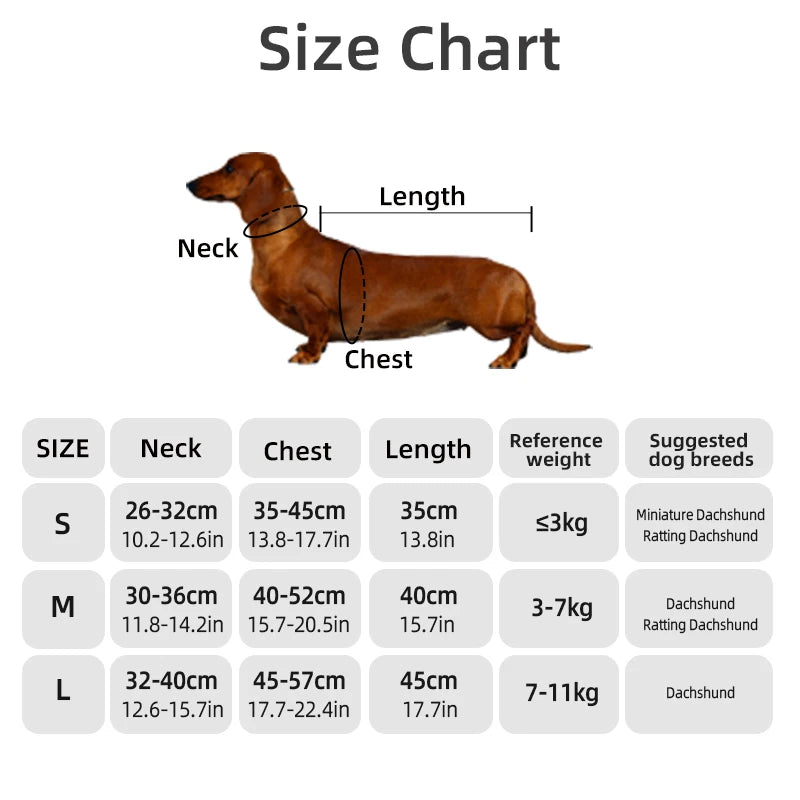 Keep your Dachshund pup warm and cozy.