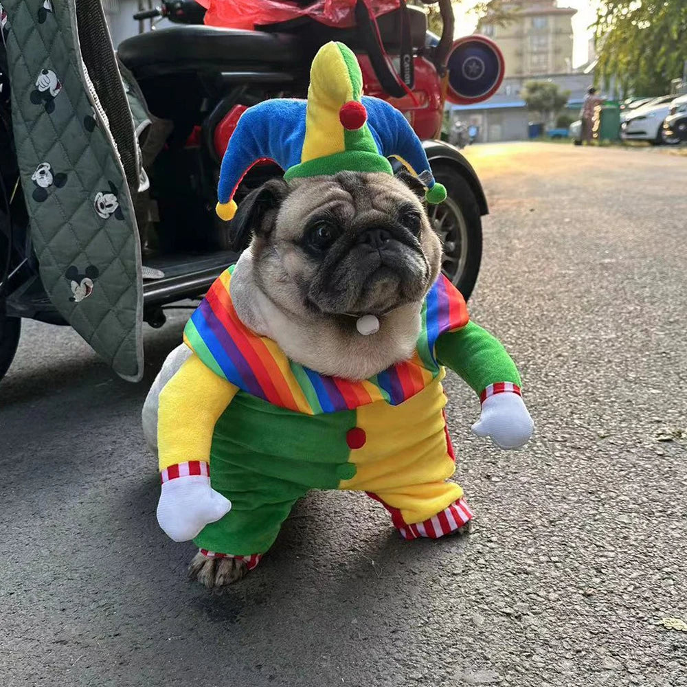 Halloween Clown Costume