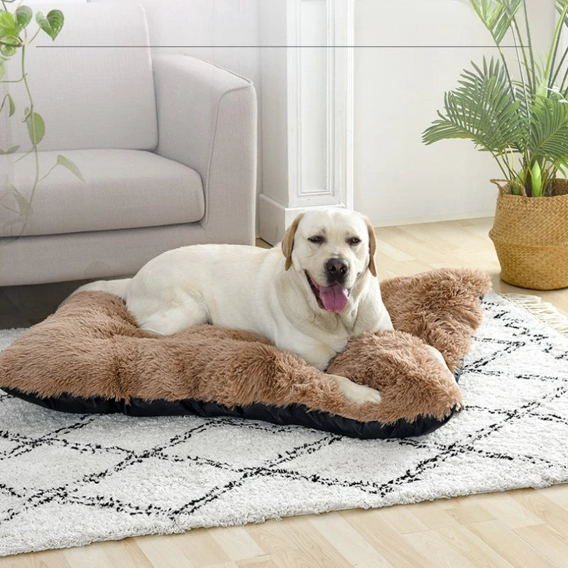 Soft and Cozy Bed