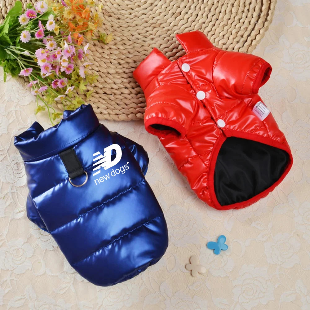 Waterproof Jacket for your pup.
