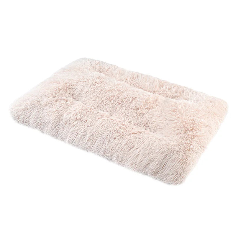 Soft and Cozy Bed