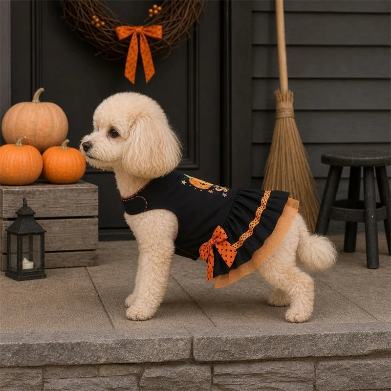 Pumpkin Print Dress Bow Mesh Skirt for your pup.