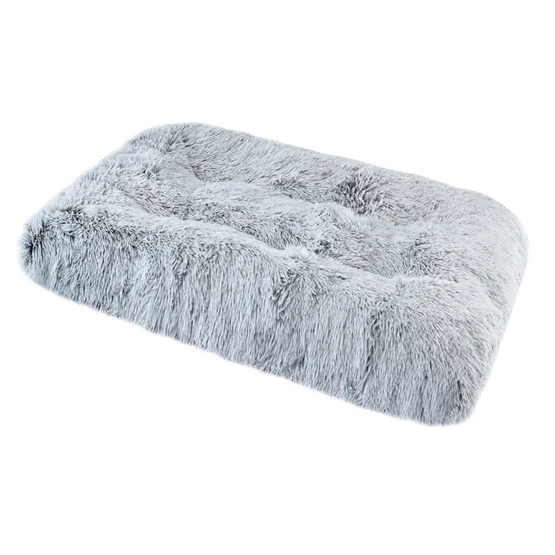 Soft and Cozy Bed