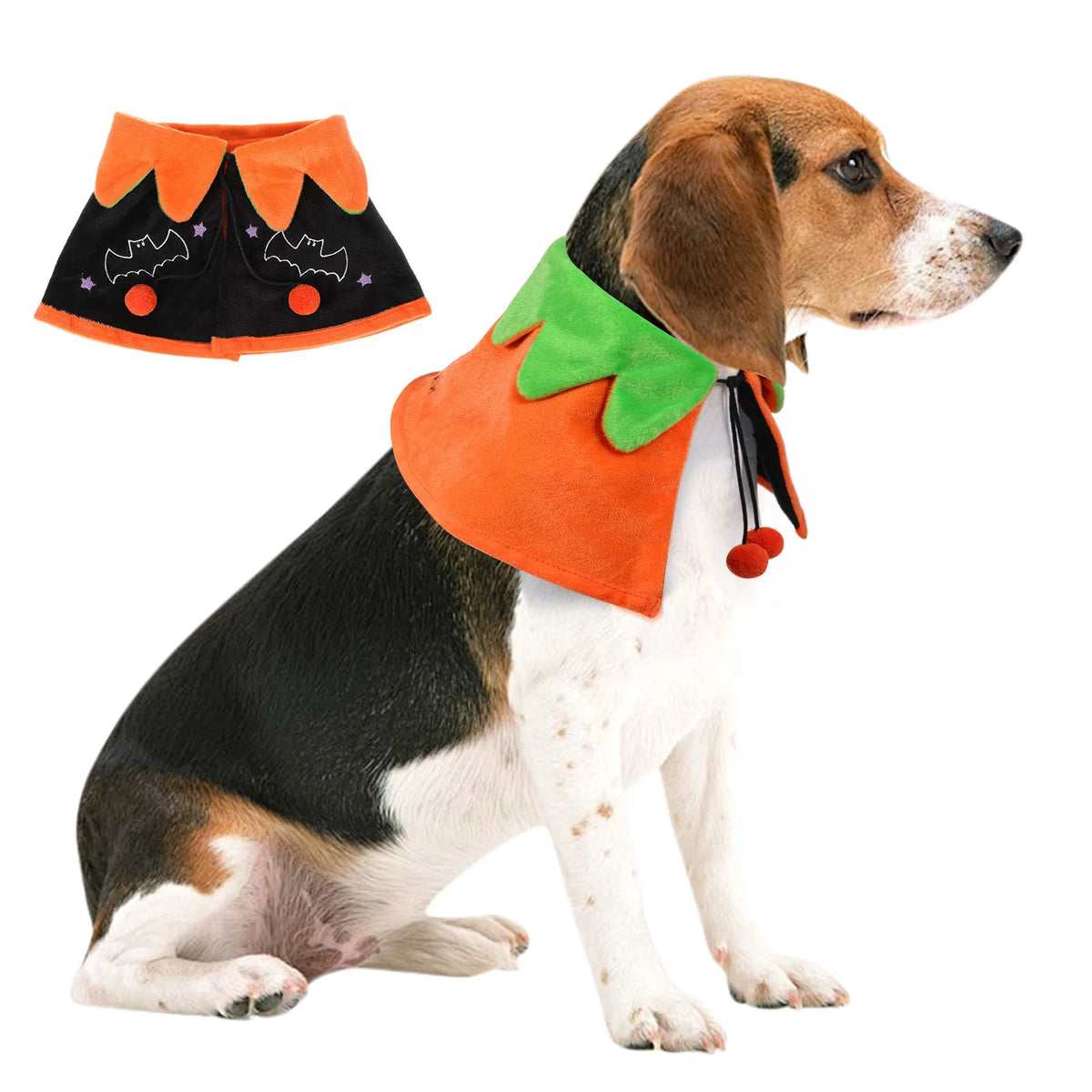 Halloween Cape for your pup.
