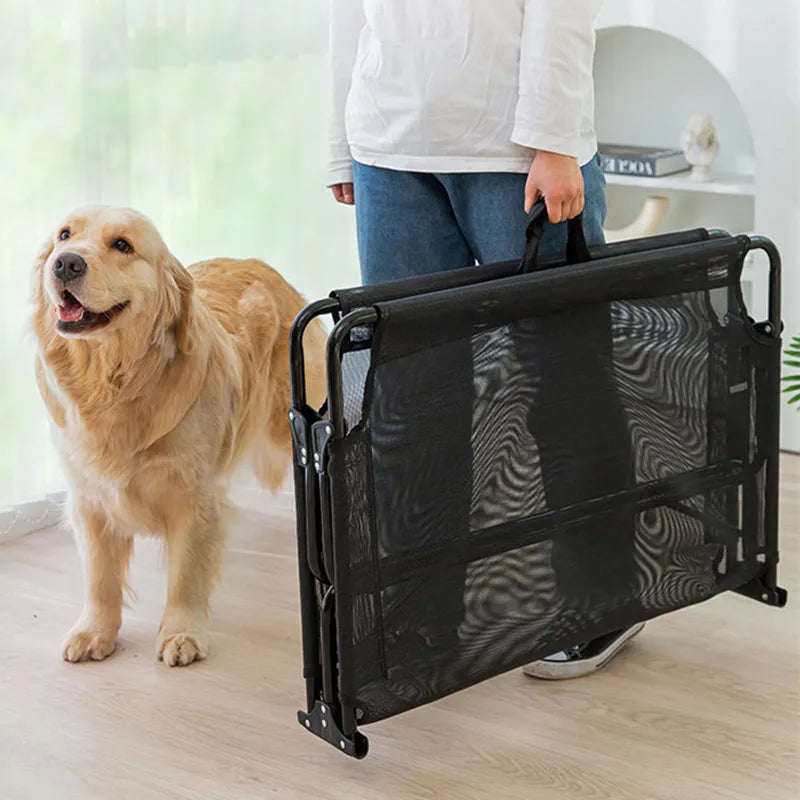 Foldable, Elevated Bed