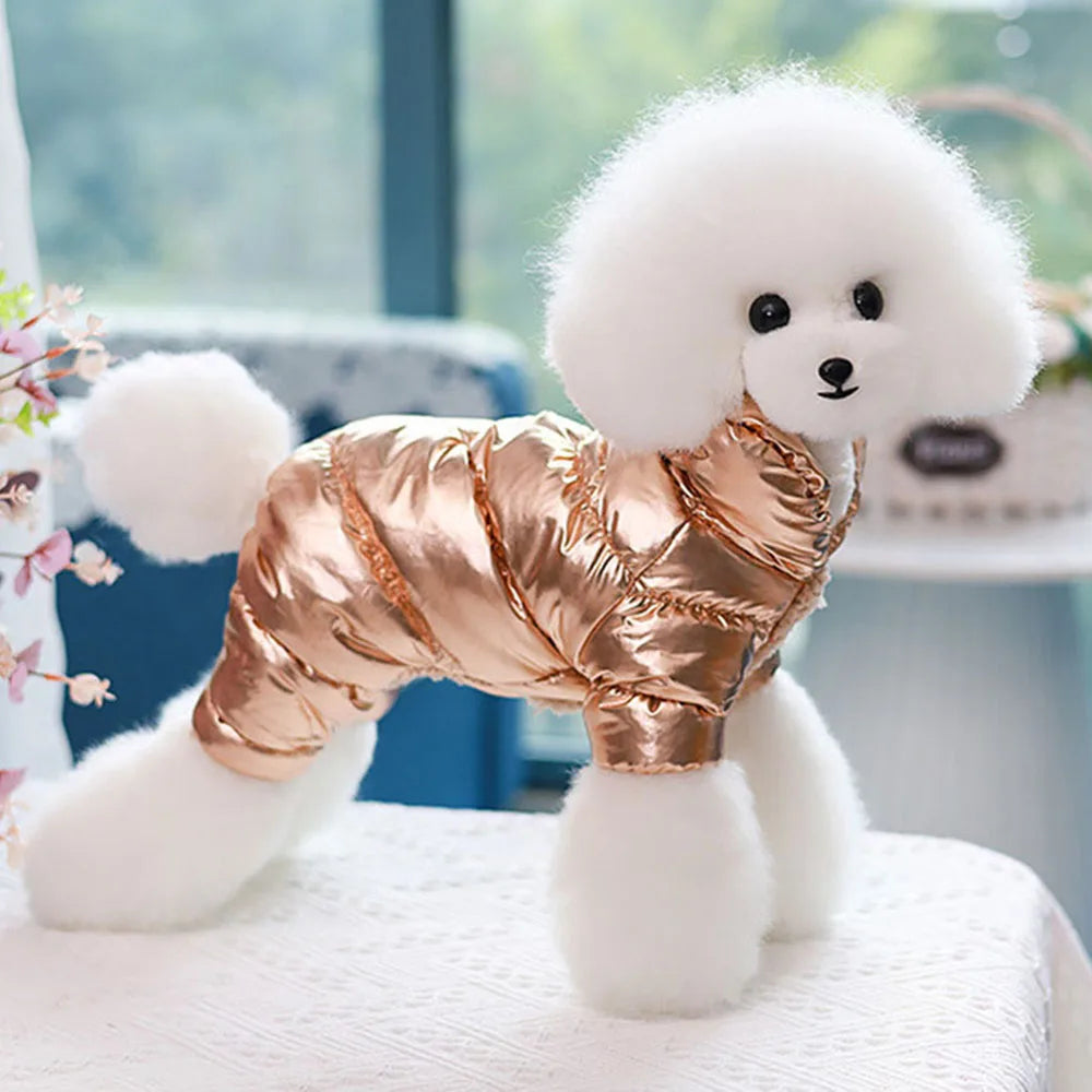 Reflective Disco Jacket for your pup.